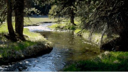 血脂高的人中脑梗心梗概率最大,血脂高8.5得心梗脑梗的几率有多少