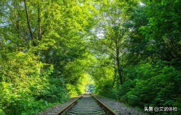 安徽旅行必去的10大景点,安徽旅行攻略必去十大景点