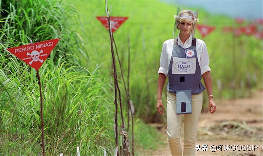 哈里王子和梅根皇冠,英媒哈里王子和梅根