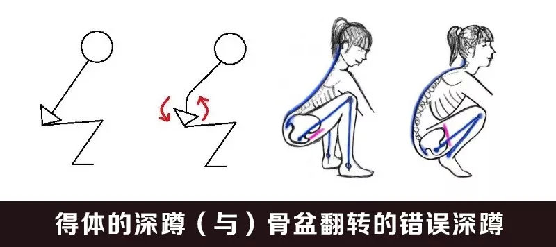 腰疼深蹲硬拉还能练什么力量,深蹲硬拉腰太弯了