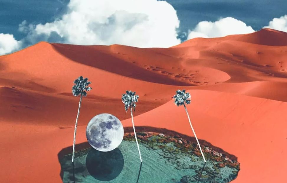 乐信，一场有关信任的战争