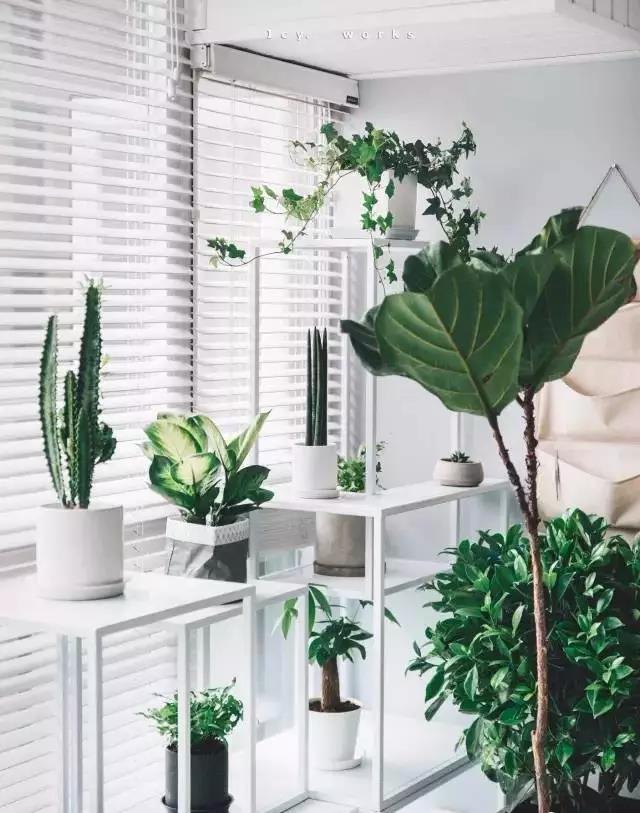 或许你并不了解卢卡斯音频,也许你不太了解图片