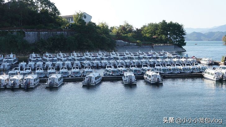 在千岛湖小岛上生活,千岛湖慢生活街区