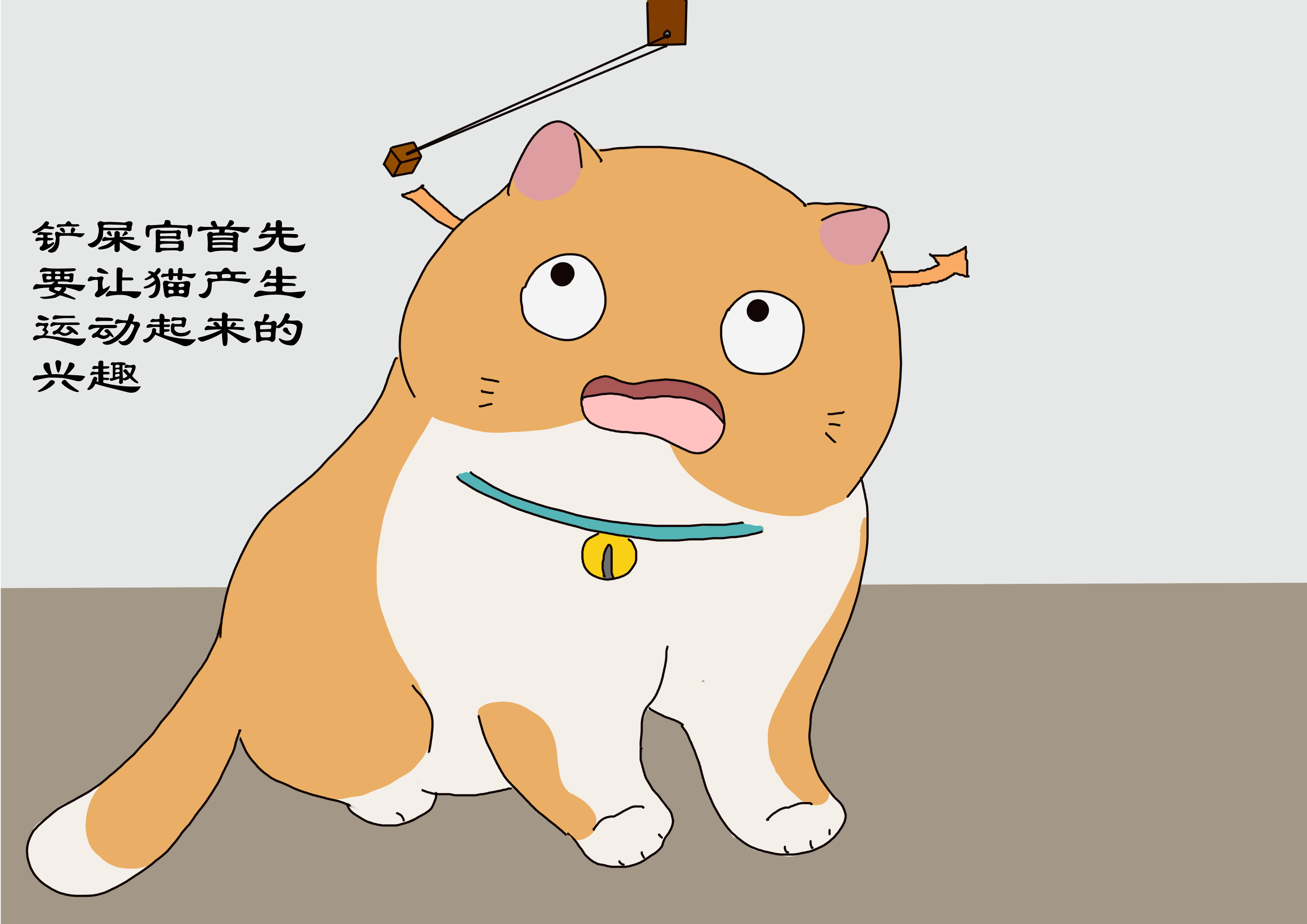 铲屎官宅在家,铲屎官如何照顾猫崽