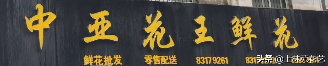 西安新年鲜花批发,西安鲜花店批发进货渠道