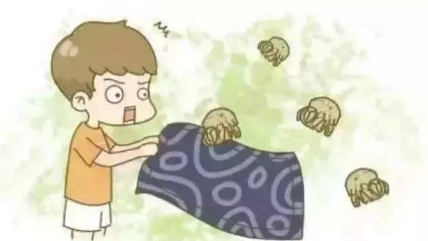 螨虫引起的视力模糊能恢复吗,眼睛查出5条螨虫