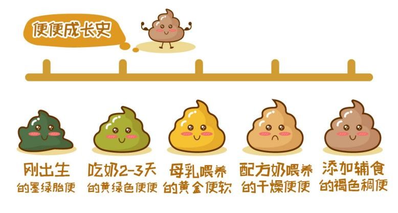 婴儿大便正常颜色和形状,婴儿正常的大便颜色和形状