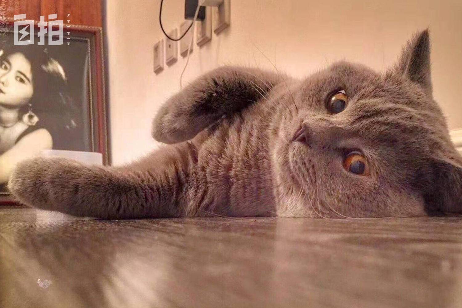 我和媳妇不生孩子，用省下的钱全款买车买房、雇阿姨和司机，享受人生