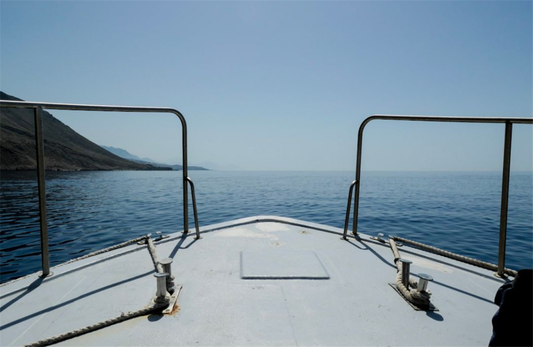 值得新手入门的徕卡相机,目前最值得入手的徕卡相机