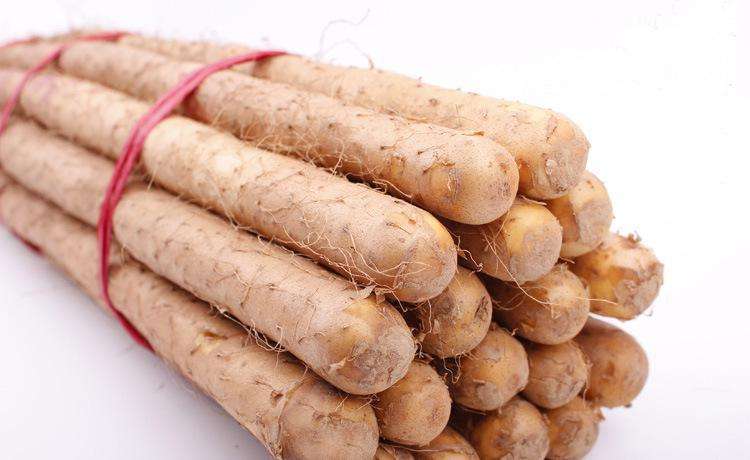 山药插水里长藤,山药水里能长出金豆吗