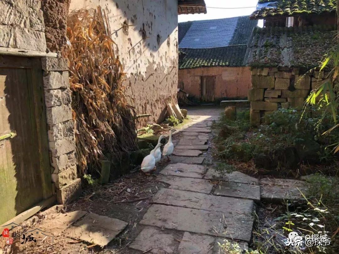 重庆小故宫红墙,重庆魔鬼山城一日游