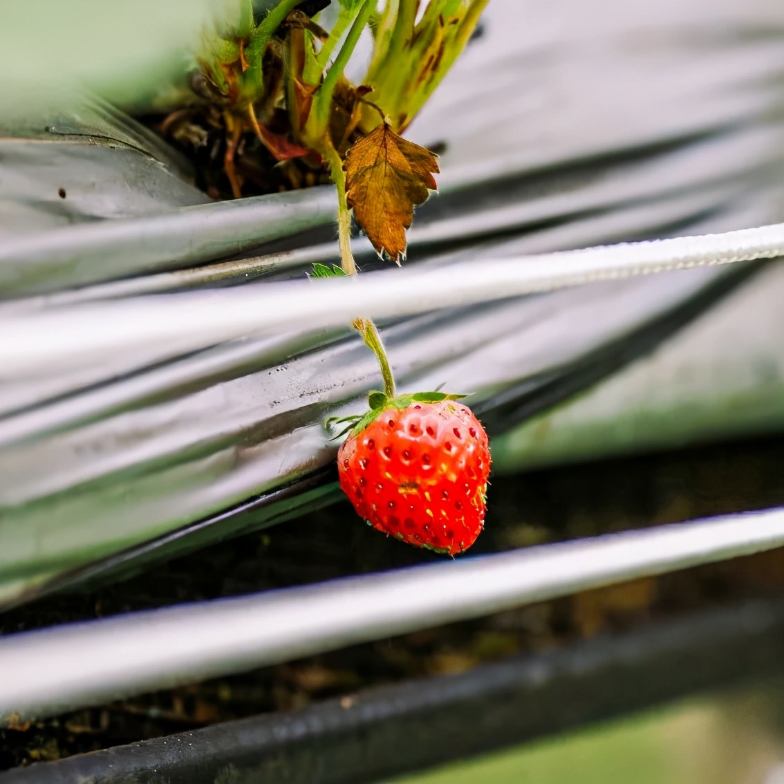 在大山深处幽静绝美的村落,深藏大山中的村落