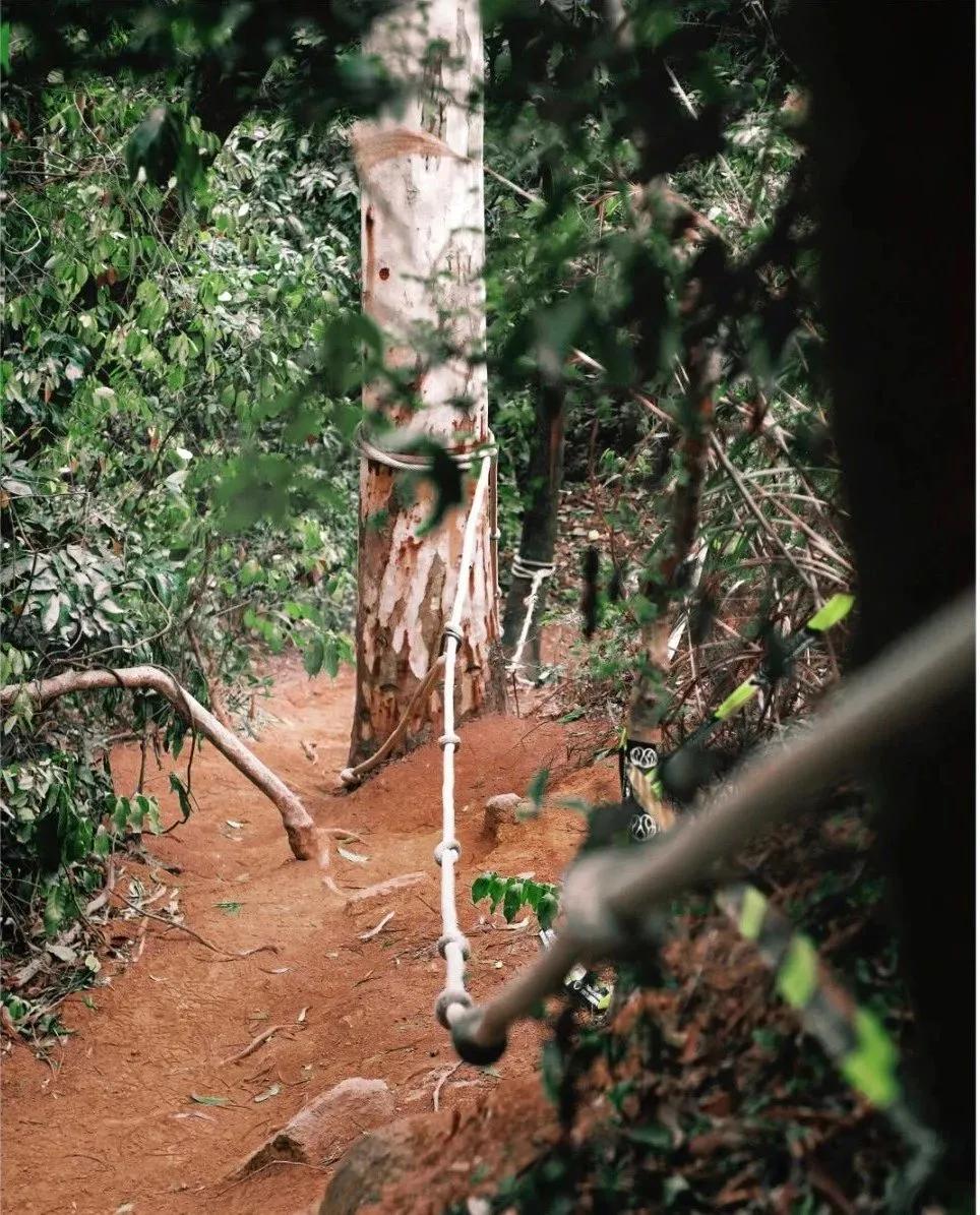 深圳首条手作“原始登山道”,人少好爬景色超美…过年去哪不用愁