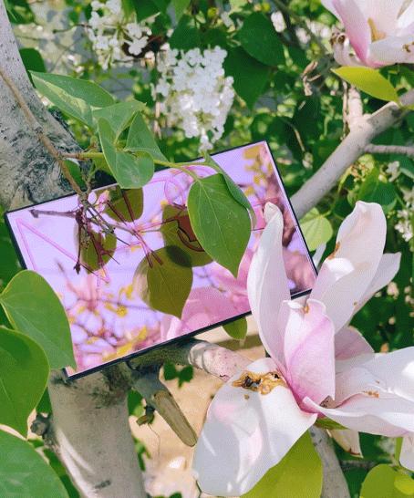 持久显白元气腮红,元气少女必备的腮红推荐