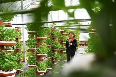 北大荒农业最新消息,北大荒农业最新新闻