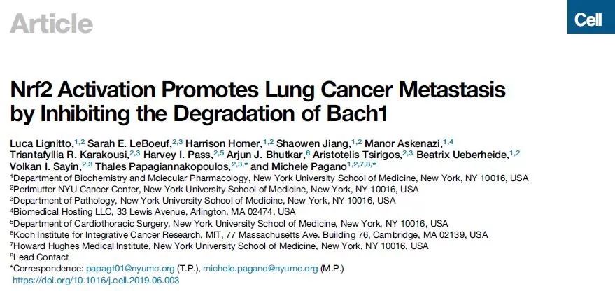 抗氧化保健品能减轻人体哪些症状,抗氧化药物对癌症有用么