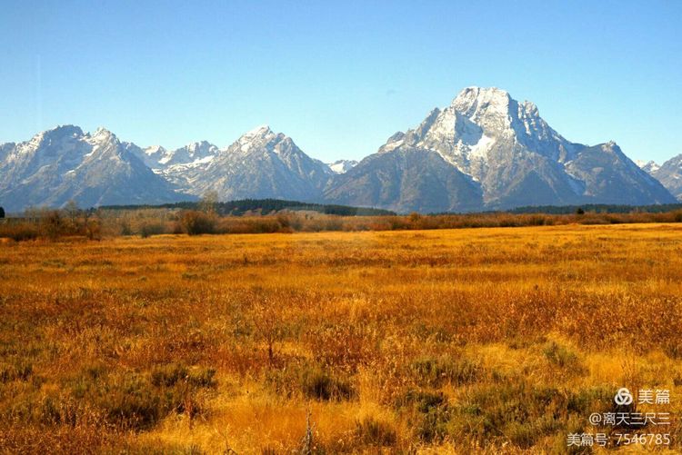 鍖楃編鏋儏闃虫柊,鍖楃編鏋儏鍥剧墖