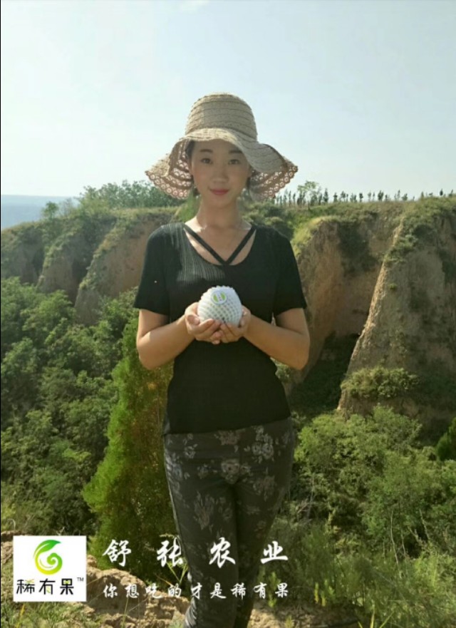 梨树幼树夏季怎么管理,梨树春季管理技术要点