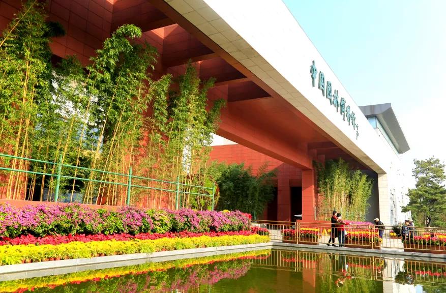 閲戠涓板彴璧忕帺鏀荤暐鍑虹倝,涓板彴閲戠鏂囧寲鏃呮父鏀荤暐