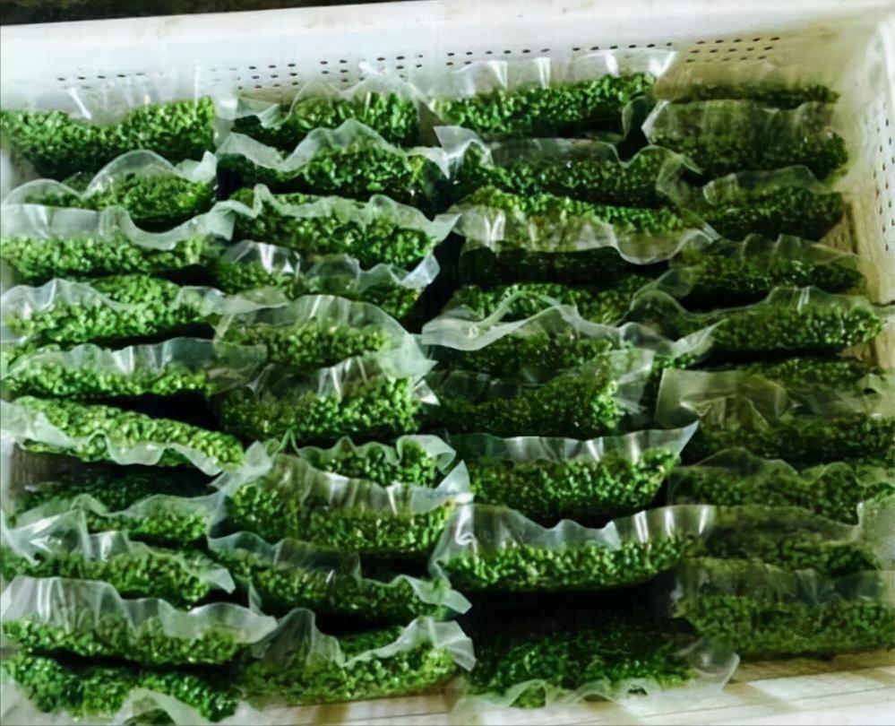 大叔收集废品变废为宝,重庆大叔创业