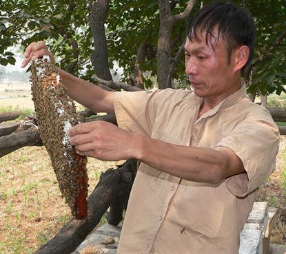 蜂蜜里掺了果葡糖浆如何鉴别,鉴别俄罗斯蜂蜜最简单的方法