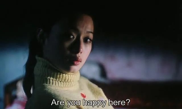 可惜没在中国上映的电影,李冰冰05年电影