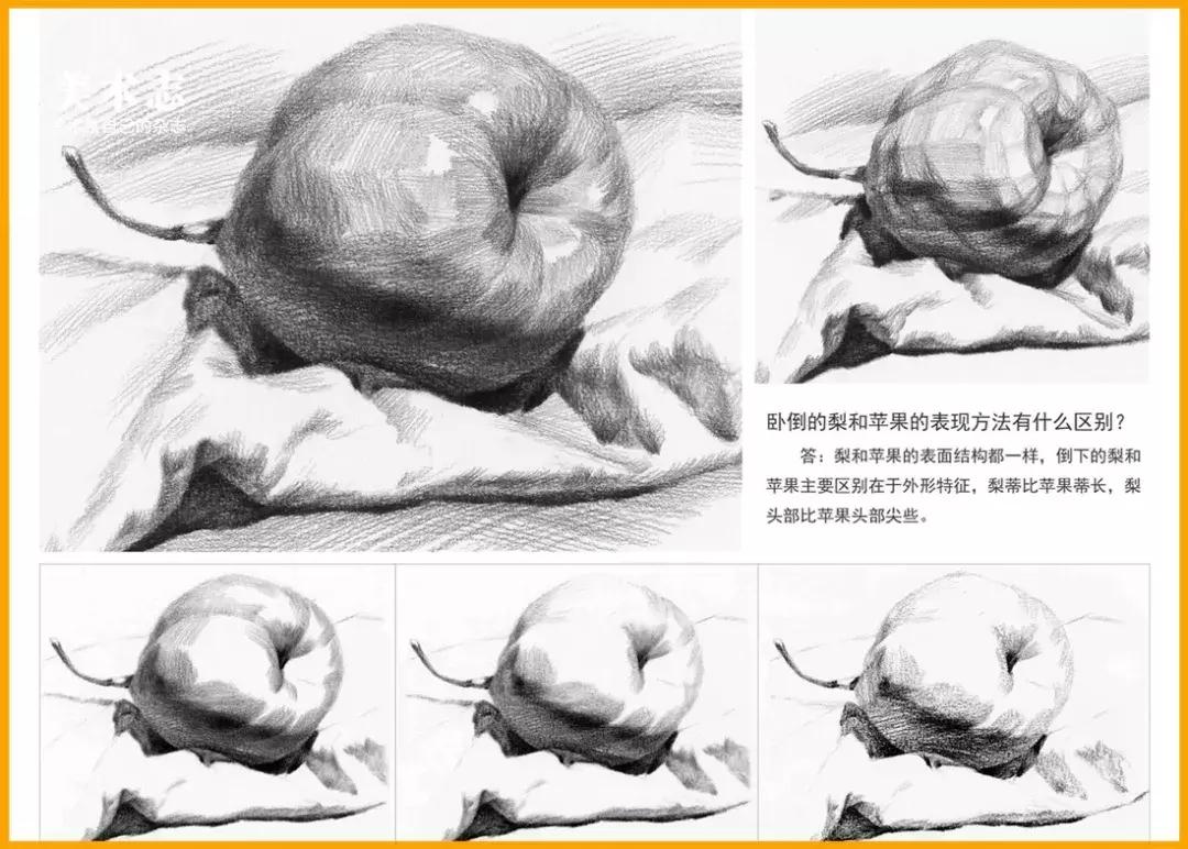 素描常见水果,适合新手的100幅素描画蔬菜水果