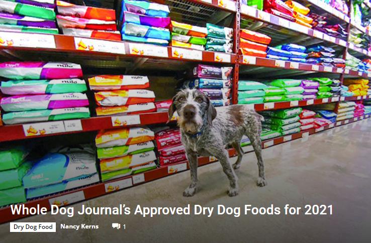 wdj2022鐙楃伯鎺ㄨ崘,wdj杩涘彛鐙楃伯