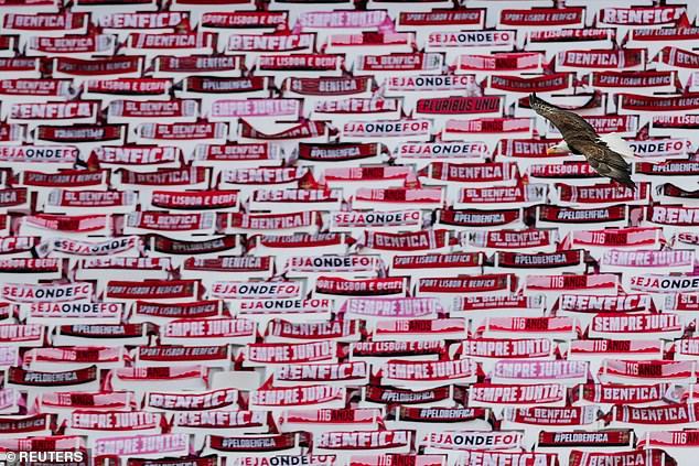 葡超本菲卡最新战况,葡超本菲卡比赛结果