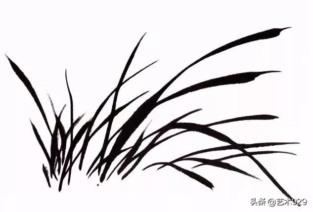 国画兰花的画法太棒了简单易学,泰国兰花绘画技法