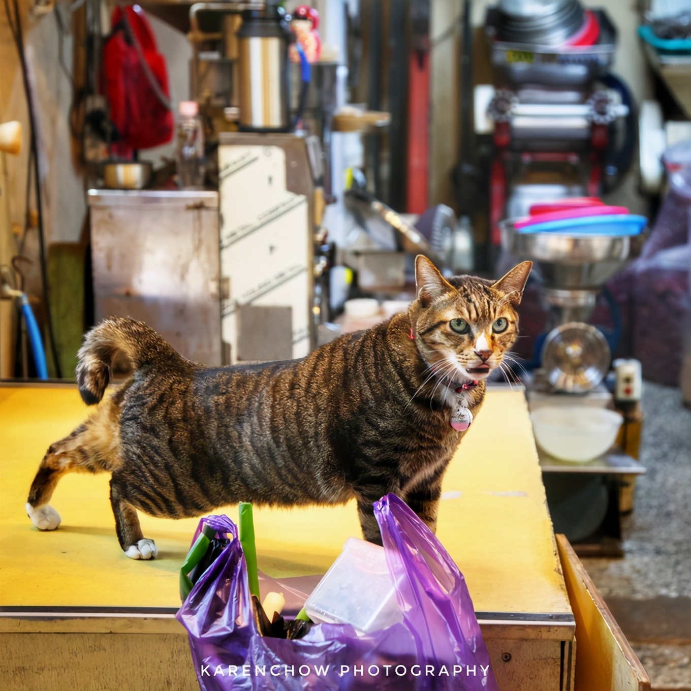 大邱安东小吃,韩国安东美食