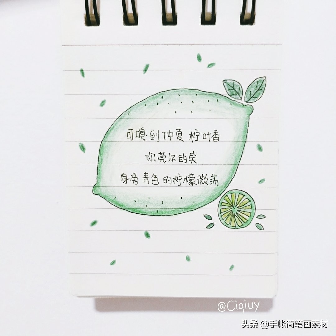 小清新森林手帐边框,怎么画手帐边框素材