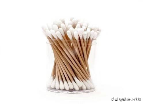 猫咪虐待猫的真相,猫咪虐待猫真相