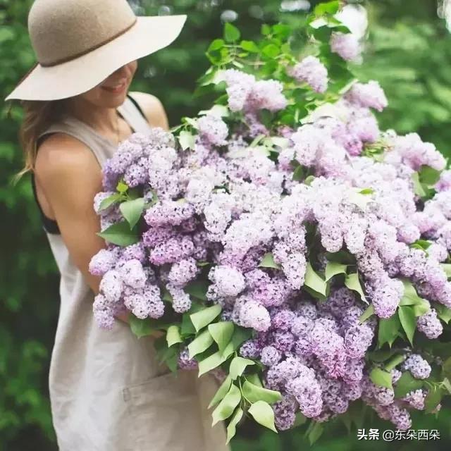 女人为什么喜欢花？这个520，你订花了吗？