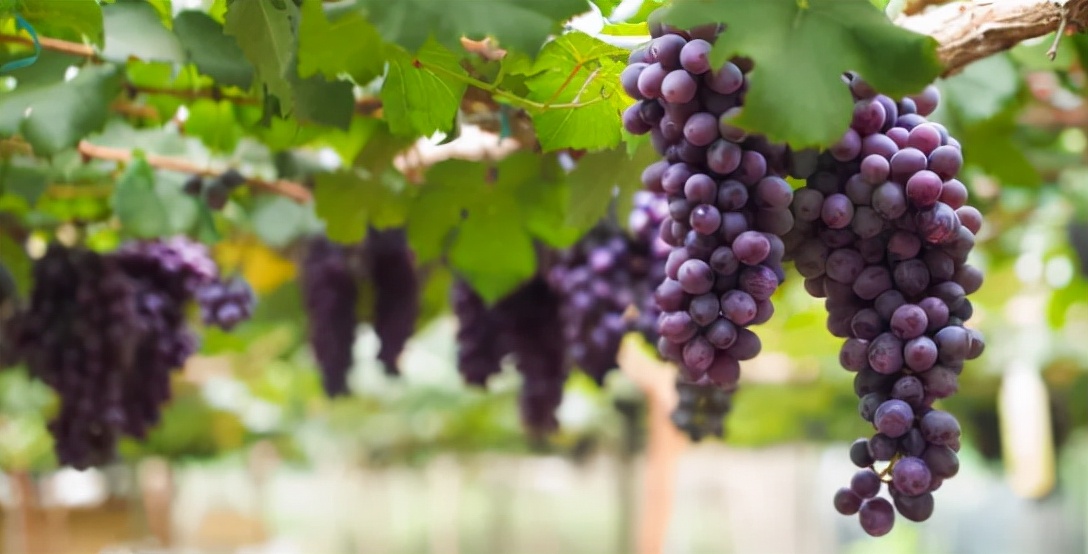 宝宝眼睛小如何养成大眼萌娃,小孩小眼怎么变大眼