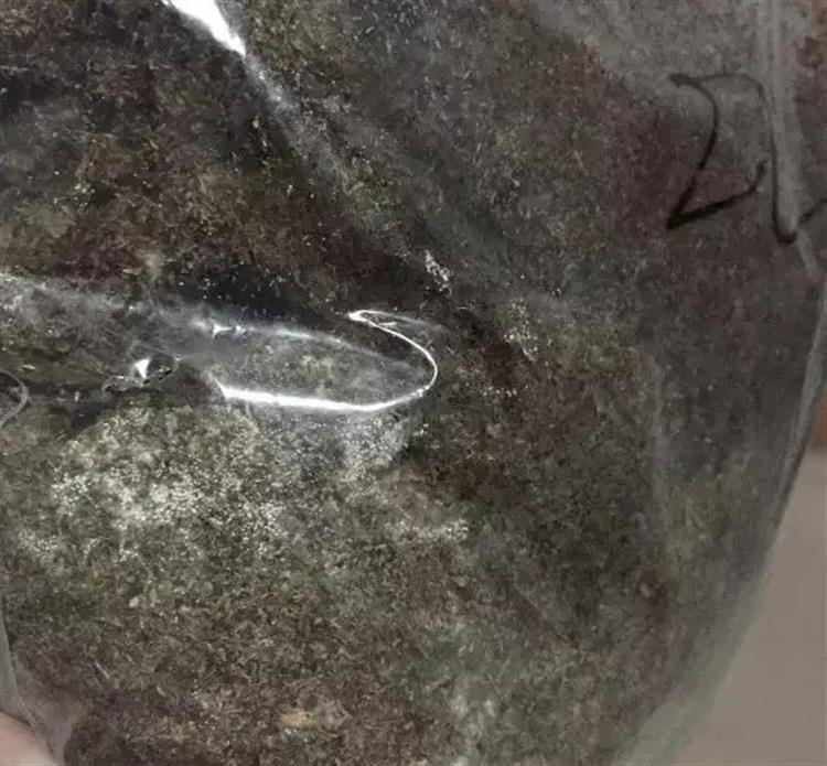 养多肉的土发霉是怎么回事,品氏泥炭土发霉了还能用吗