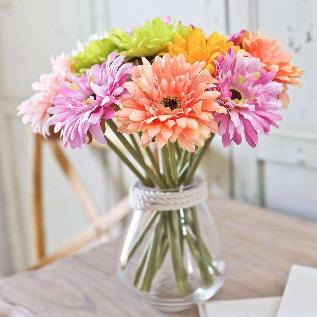 迷你向日葵适合黄土种,向日葵盆栽品种推荐