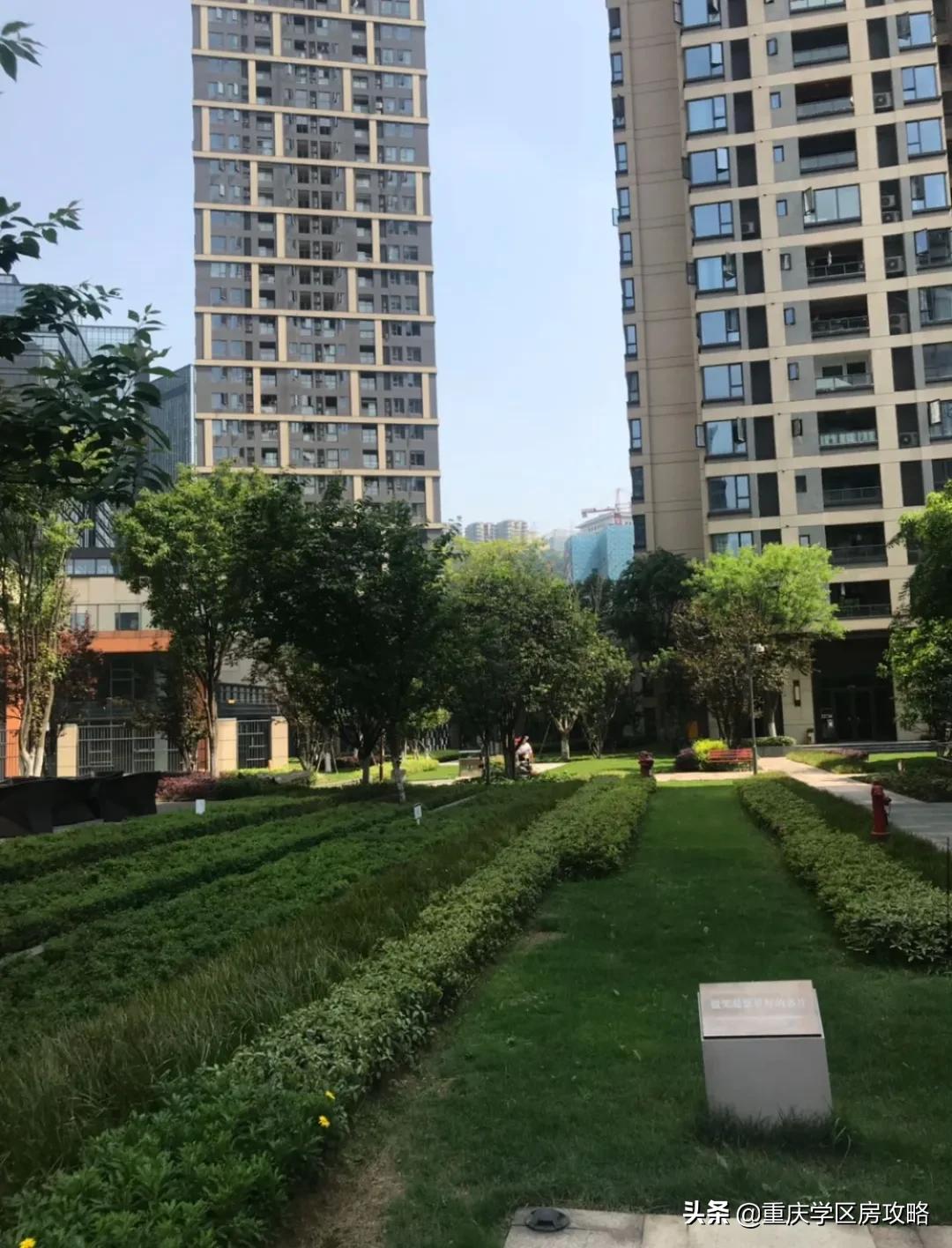 重庆华岩片区小学排名,重庆各区第二梯队的小学有哪些