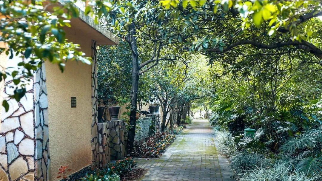 广东好玩的森林露营基地,清远旅游景点森波拉推荐