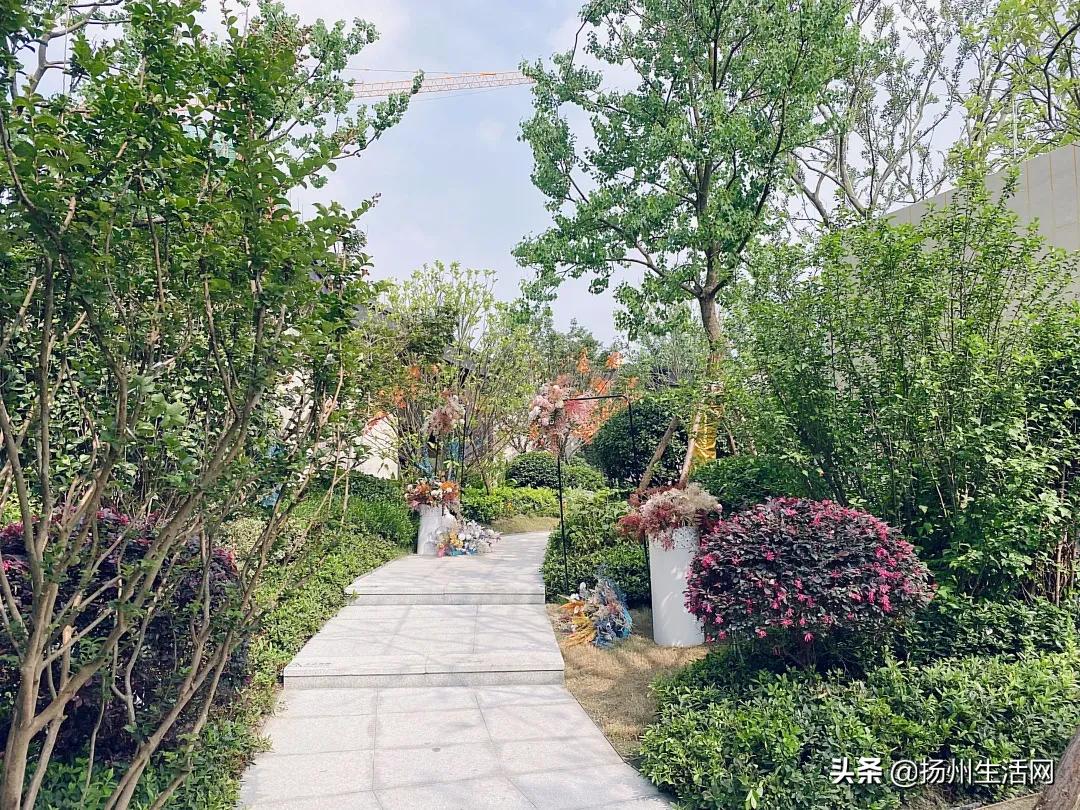 扬州香奈儿的梦幻体验馆,扬州香奈儿梦幻体验馆