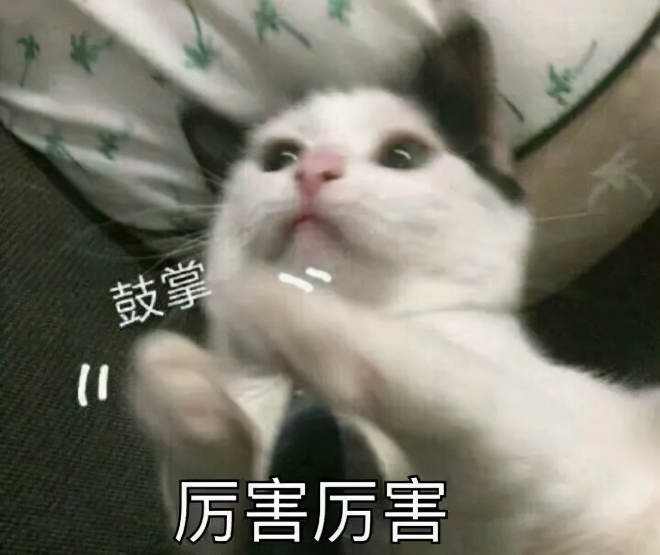 间谍小说作者居然是真间谍,间谍小说作者亲身经历