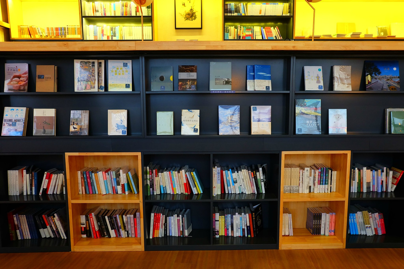 骆驼青岛,骆驼旅行在路上