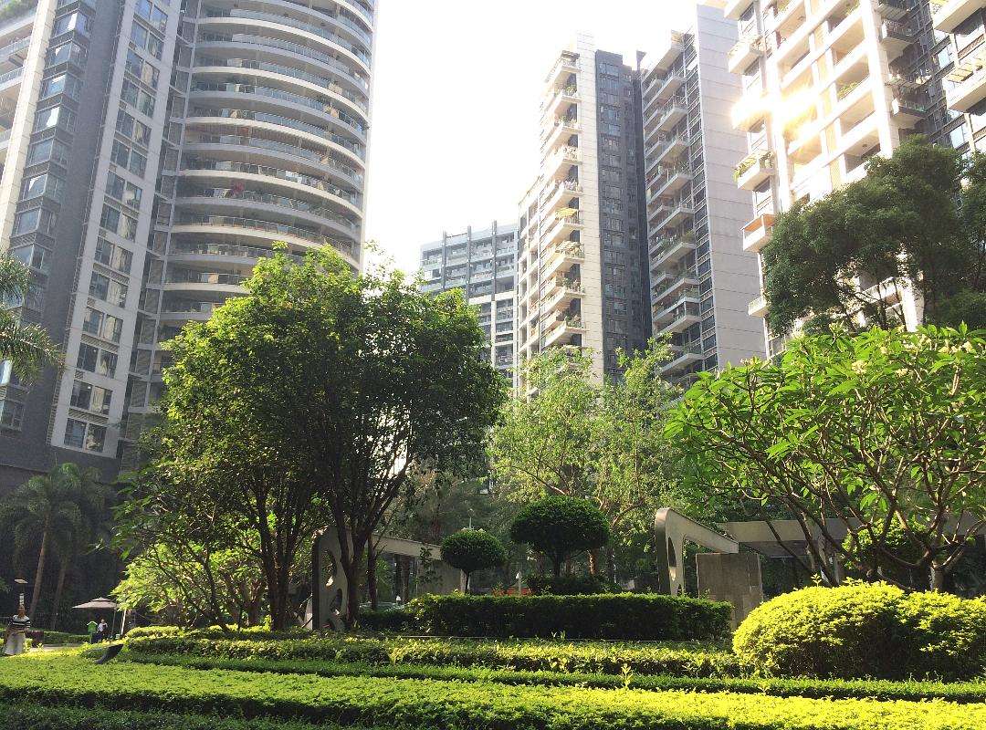 为何年轻人都往大城市买房,年轻人越来越后悔在城里买房