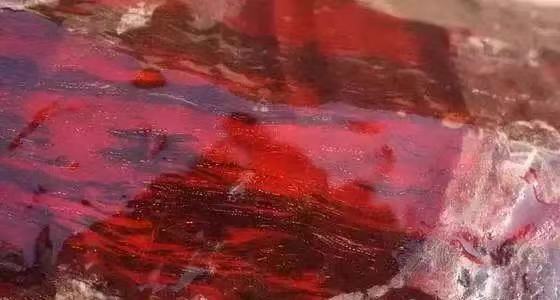 名贵红木家具排行榜最新,红木家具木材种类有哪些