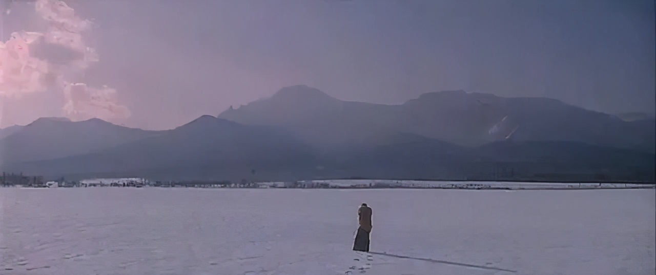 岩井俊二镜头下的美好,岩井俊二的电影你看过几部