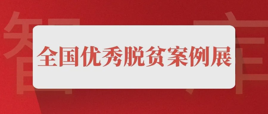 中国脱贫攻坚取得的全面胜利论文,中国脱贫攻坚取得伟大成就论文
