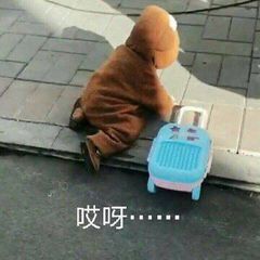 免费找回误删手机照片,怎样免费找回误删微信图片