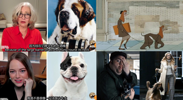 黑白魔女库伊拉复仇片段解说,黑白魔女库伊拉免费在线观看中英