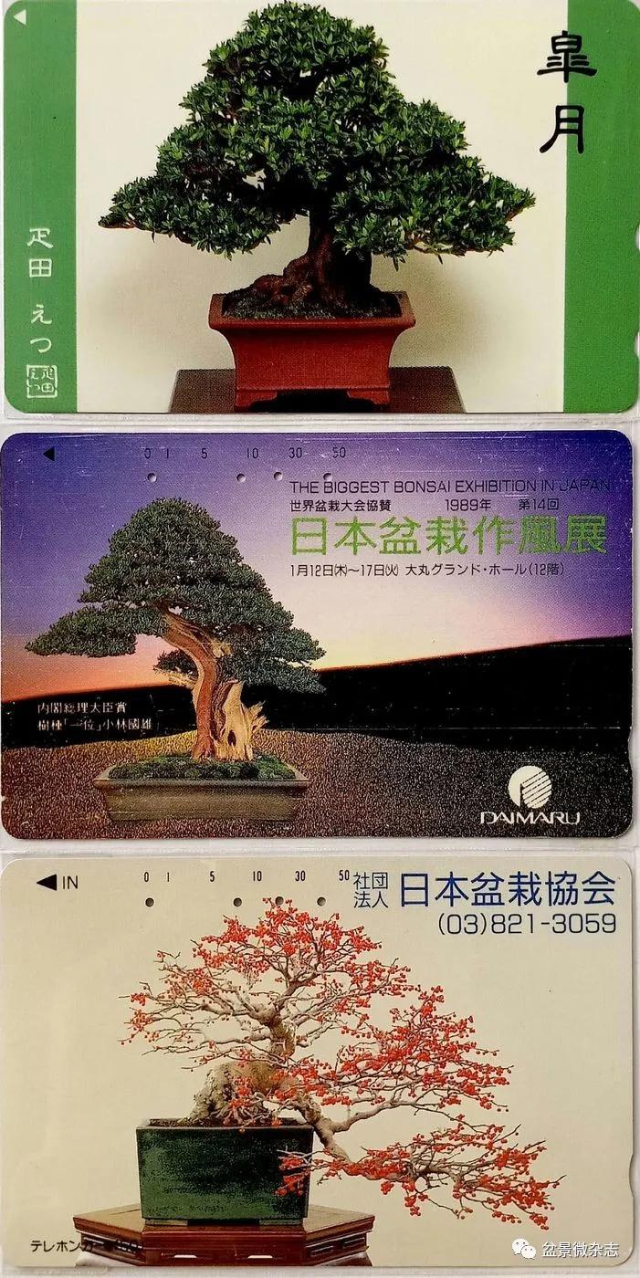 鐩嗘櫙鑱旂郴鐢佃瘽鍙风爜,涓鐩嗘櫙鑱旂郴鏂瑰紡