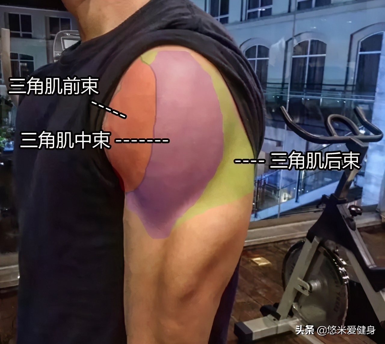 反复练肩,经常练背部但是做不了引体向上